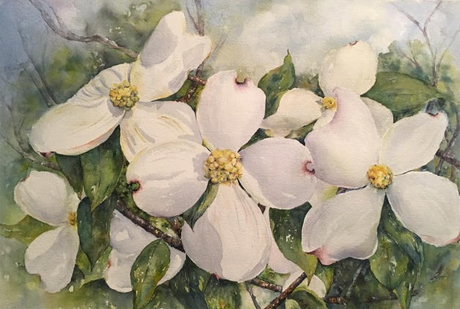 Dogwood